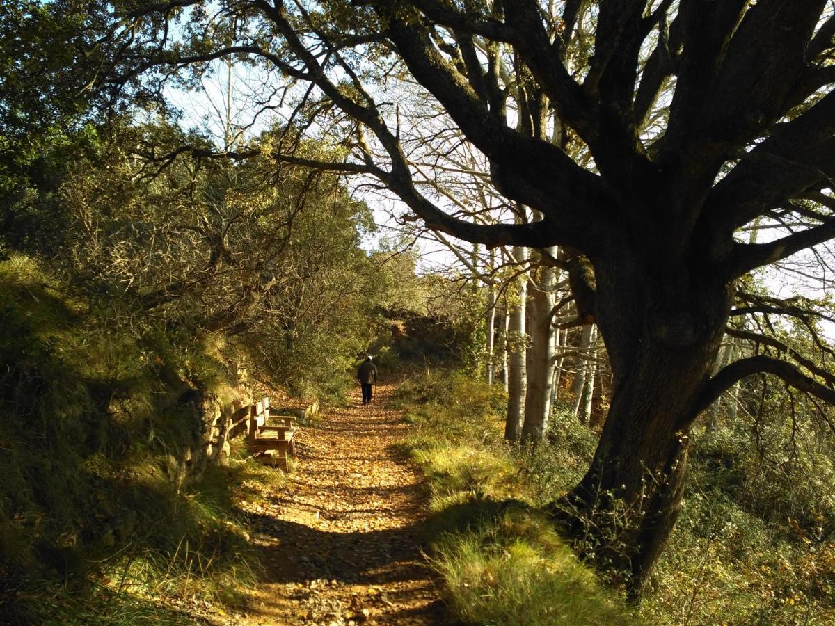 Natura Jordan Murillo de Gállego Extérieur photo