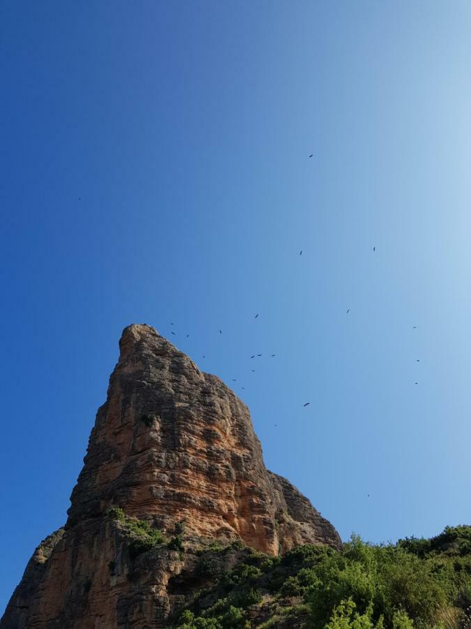 Natura Jordan Murillo de Gállego Extérieur photo